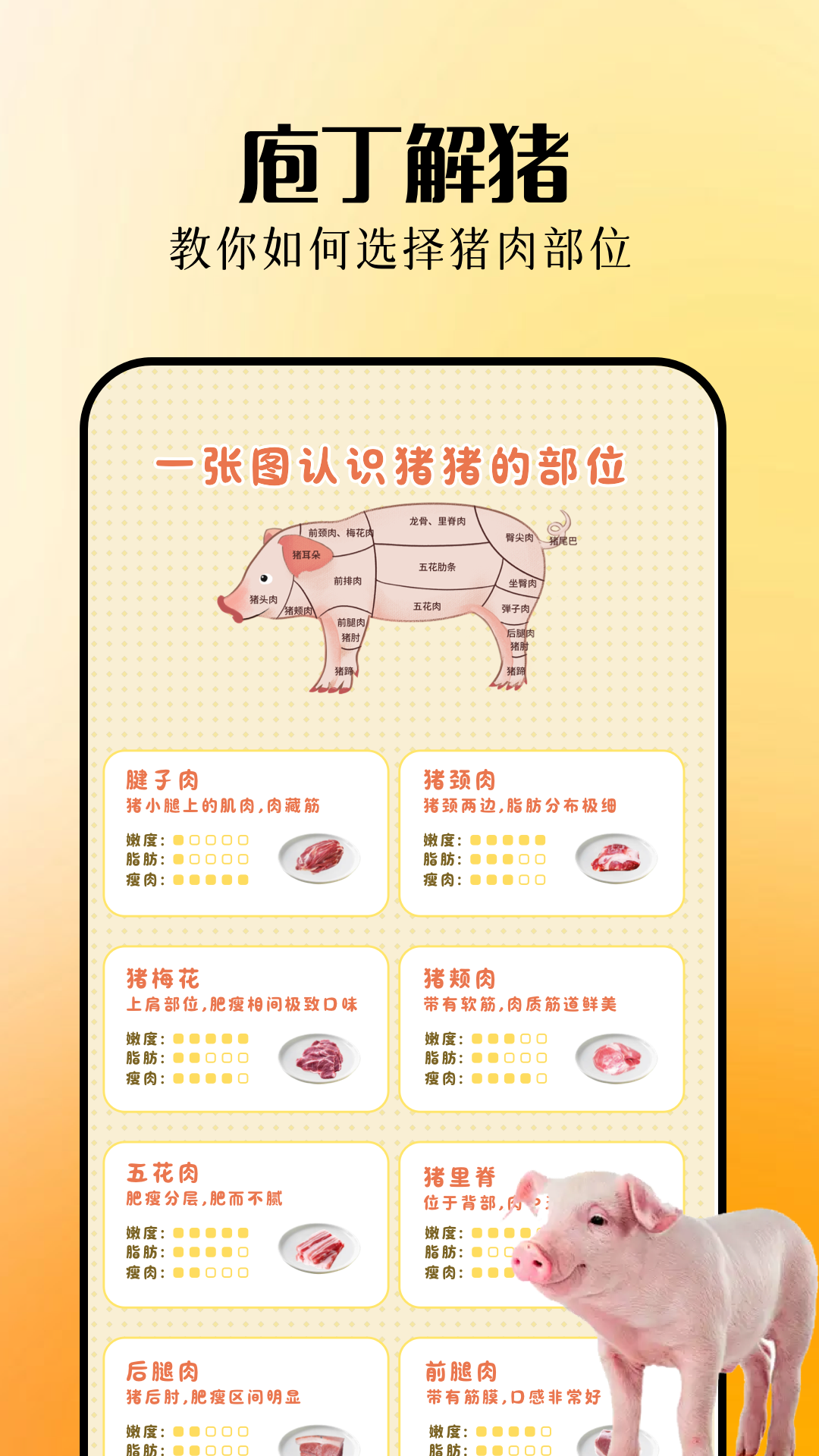 欢乐养猪场 1.3 安卓版 2