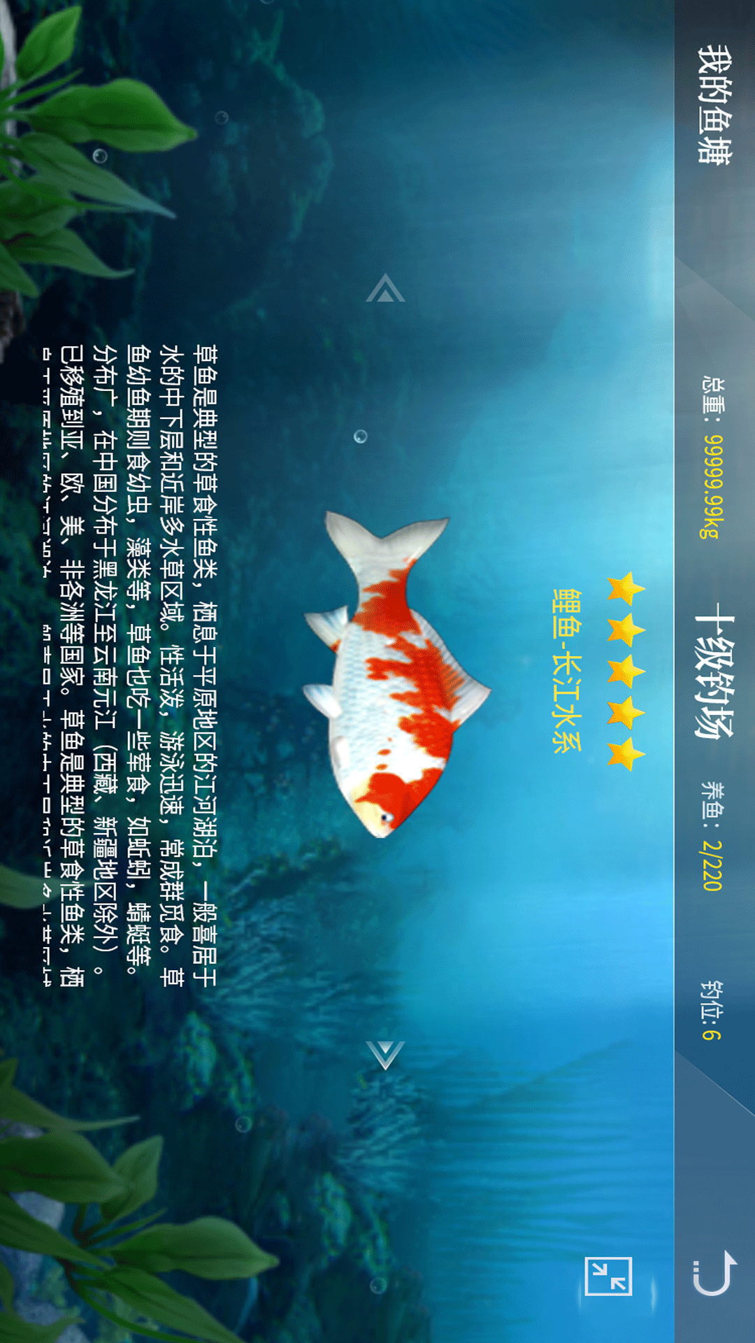 垂钓宗师 54 安卓版 1