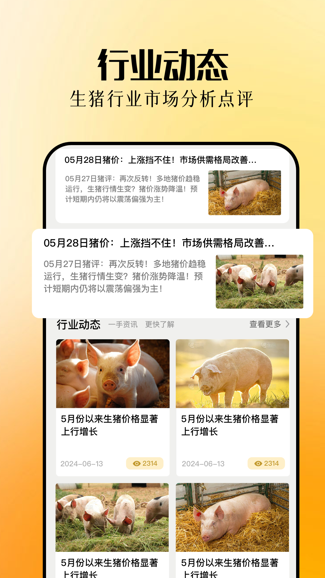 欢乐养猪场 1.3 安卓版 3