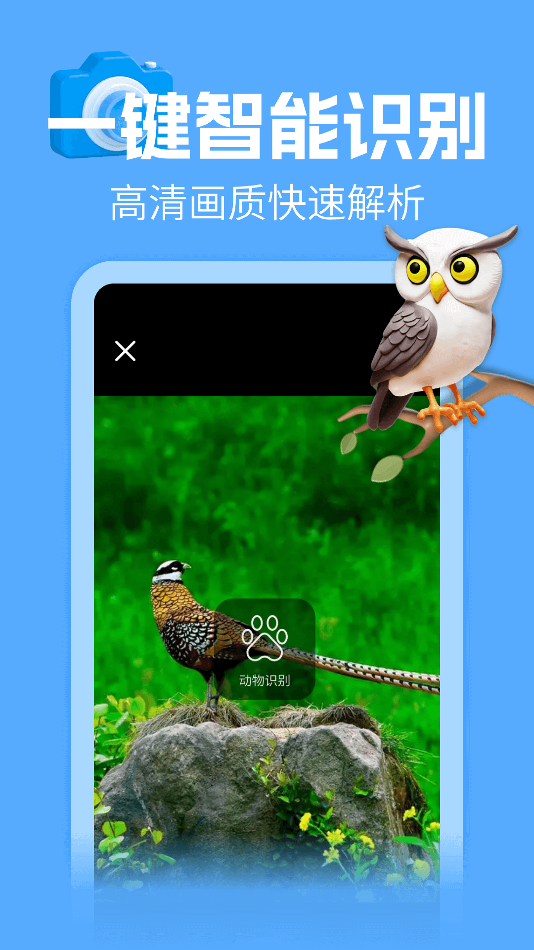 动物百科大全 1.0.2 安卓版 1