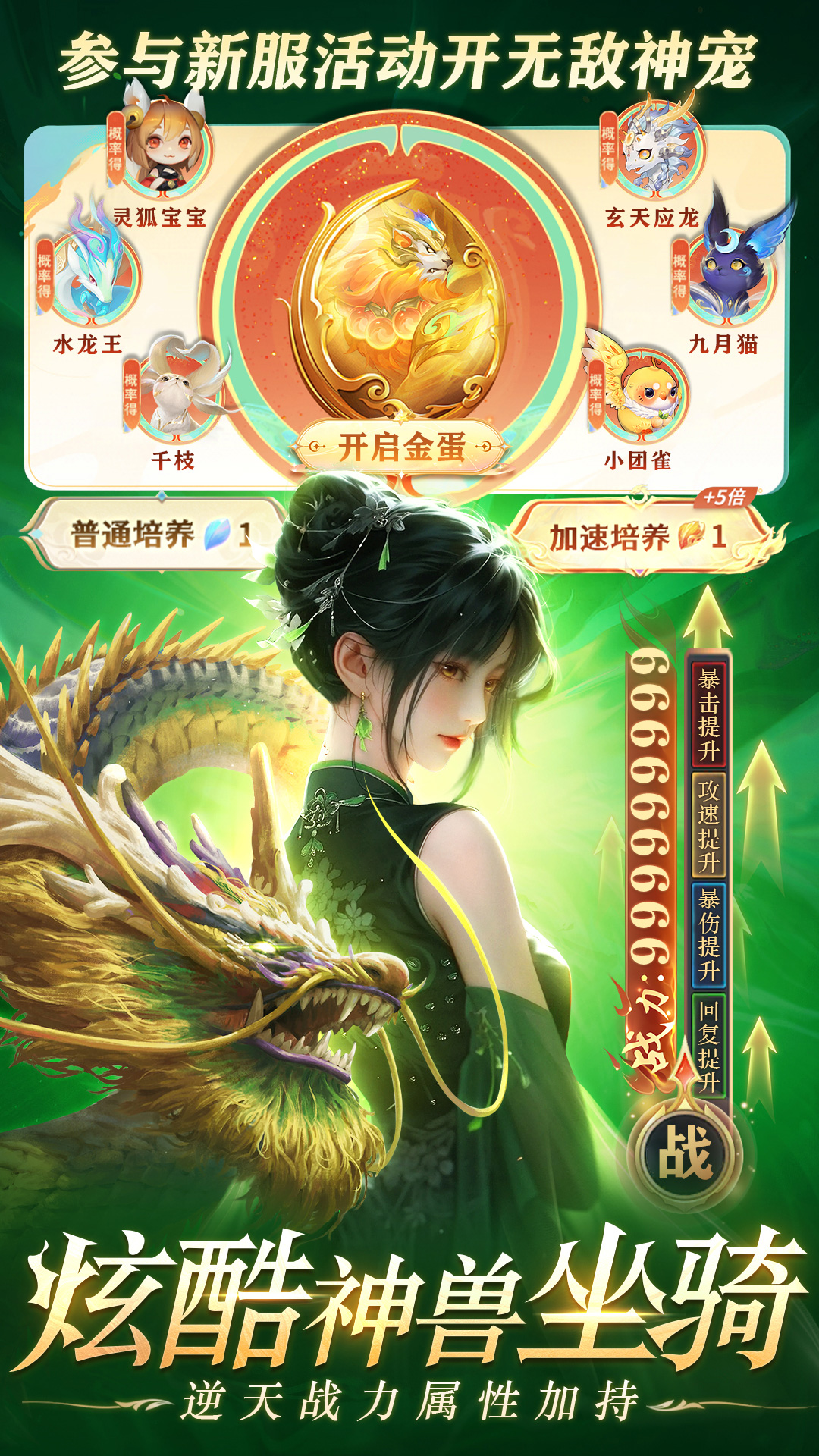 醉美人 1.0.3 安卓版 2