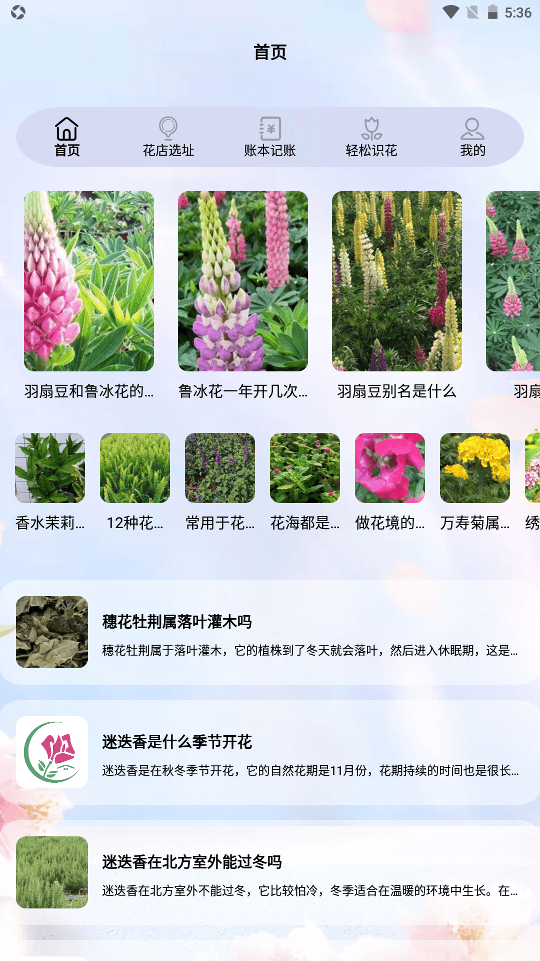 我要开花店截图1