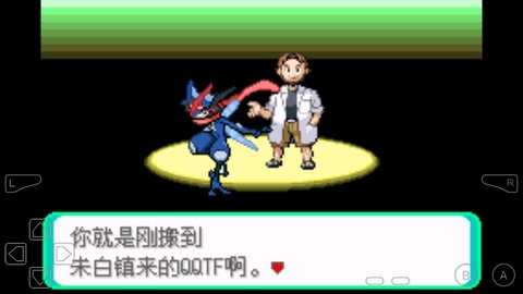 口袋妖怪刽耀之影永久超进化版 打桩鸡 安卓版 3