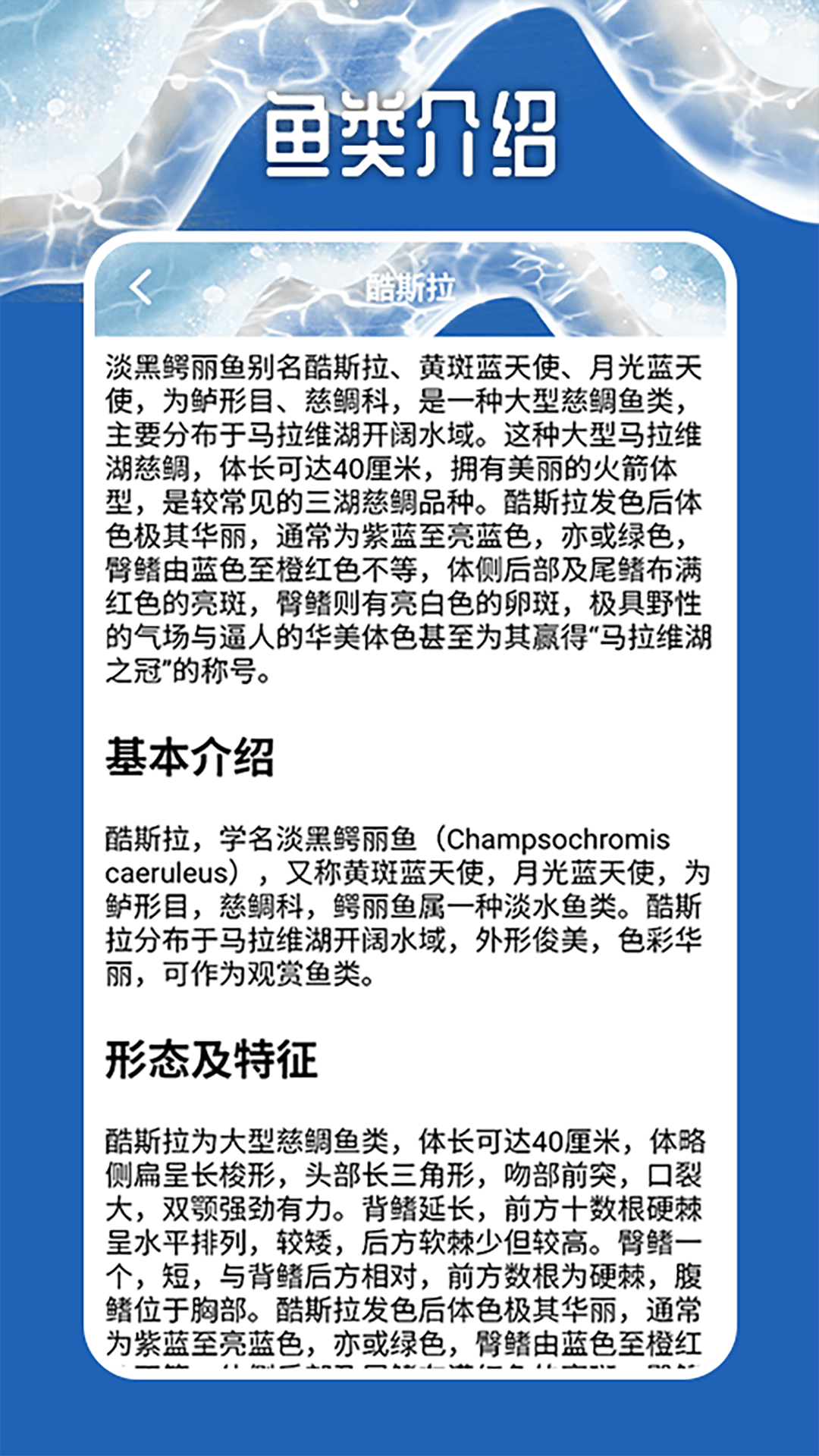 天天钓鱼大师 2.2 安卓版 3