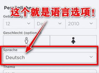 罗布乐思中文设置