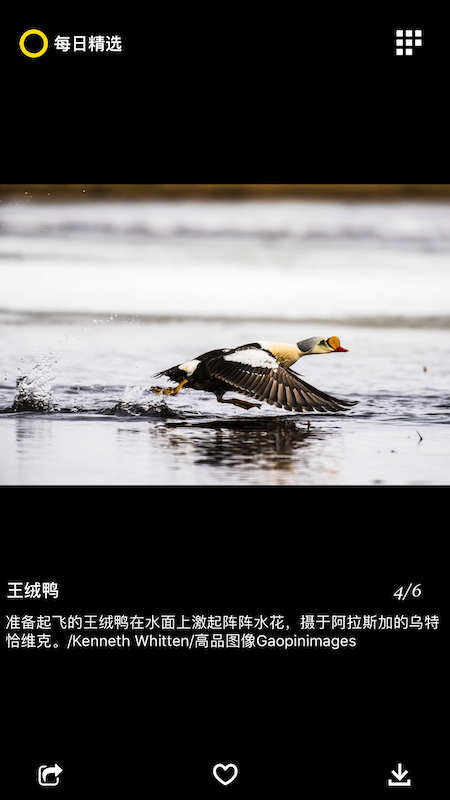 每日精选 3.0.3 安卓版 3