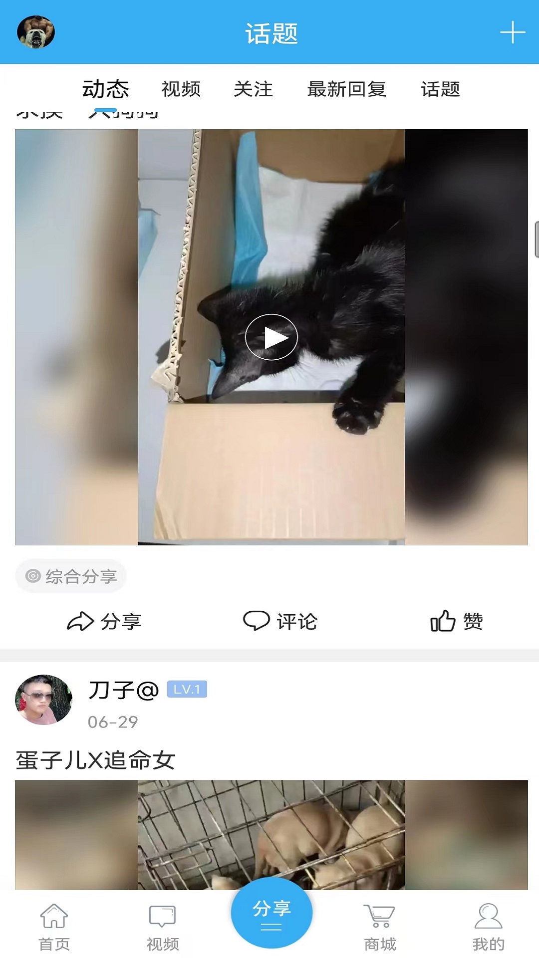 猛犬俱乐部 6.3.6 安卓版 3