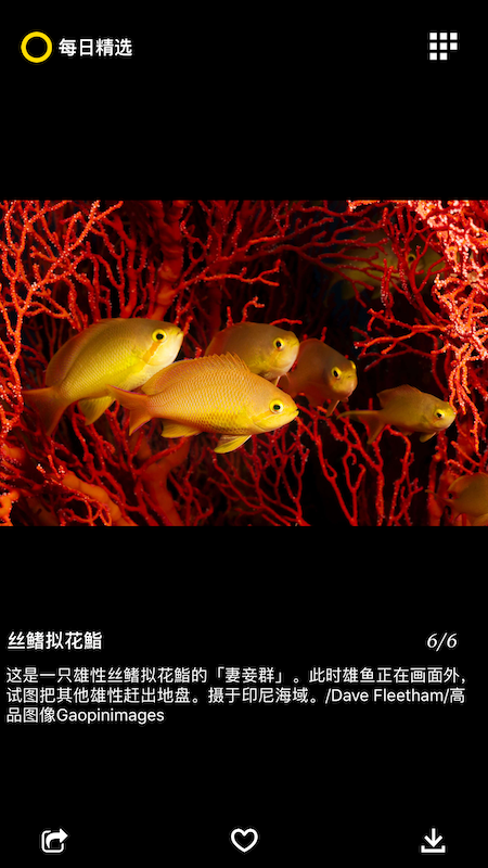 每日精选 3.0.3 安卓版 4