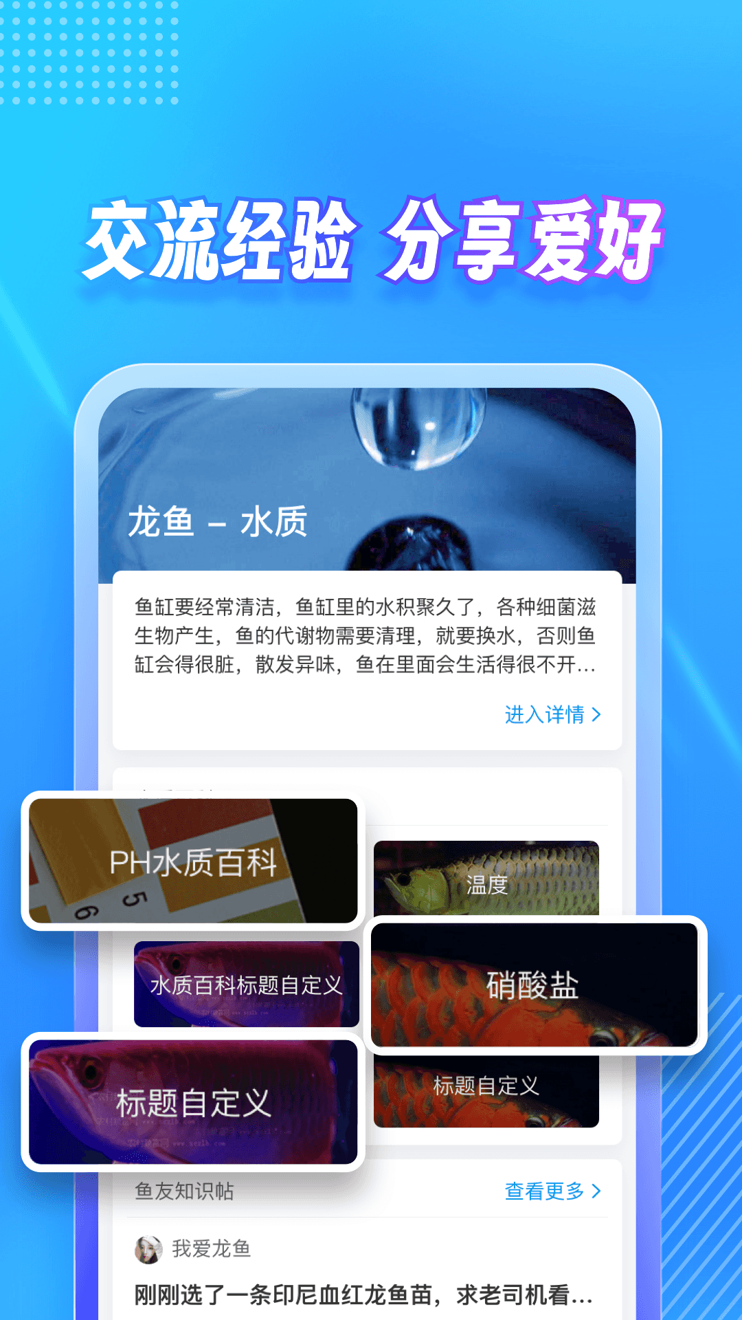 龙巅 7.0.11 安卓版 2