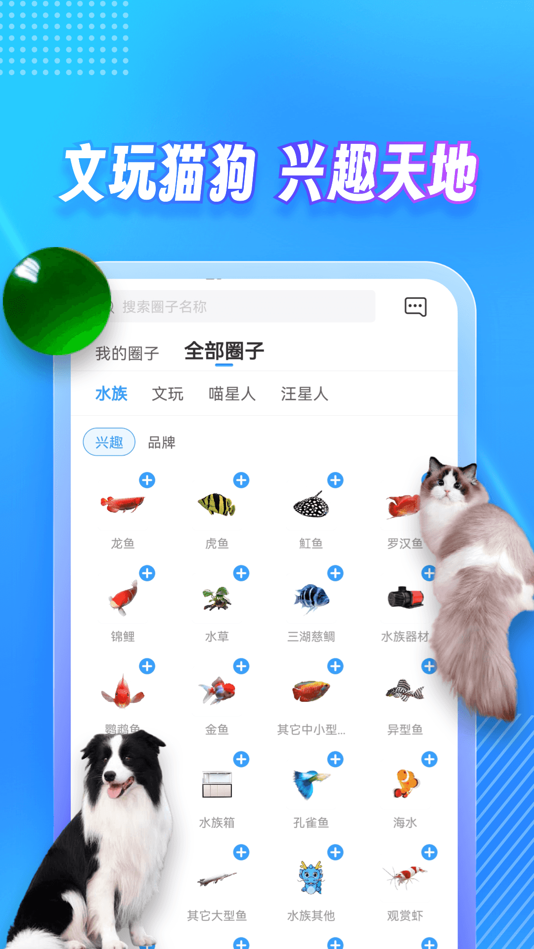 龙巅 7.0.11 安卓版 1
