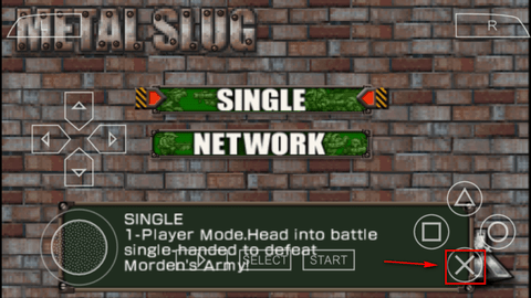 17358069166627302 (1).png