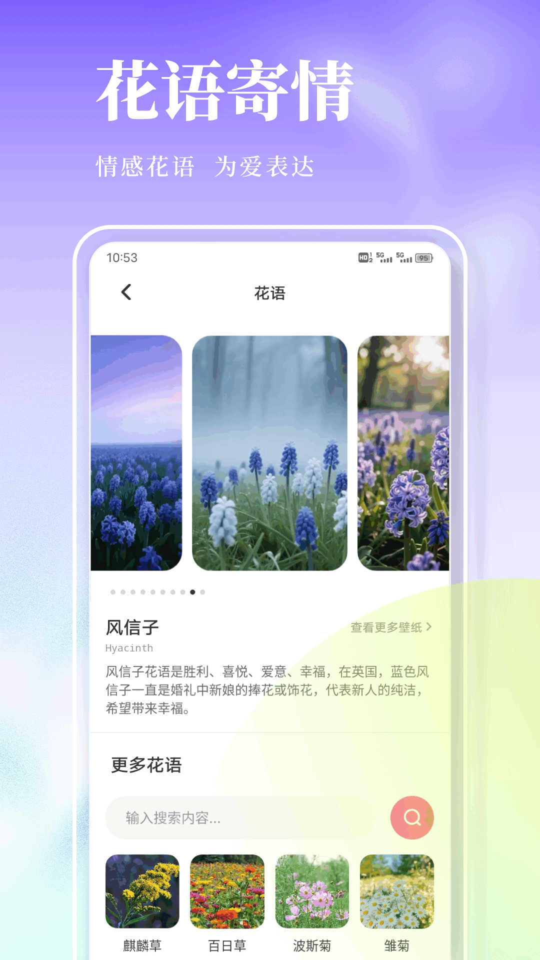 风信子 1.0.11 安卓版 3