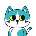 东呈青猫会