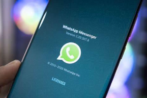 whatsup收不到验证码可能原因