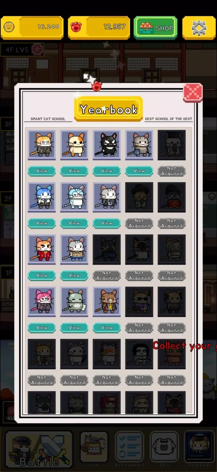 猫猫学园 1.2.5 官方版 2