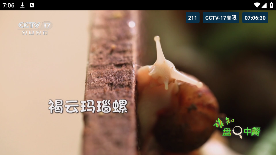 猫TV影视美刷版 20240806 最新版 2