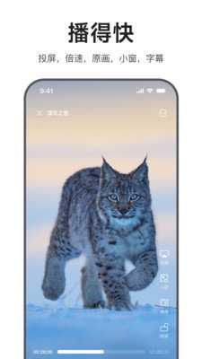 迅雷浏览器 2.3.0.8278 最新版 3