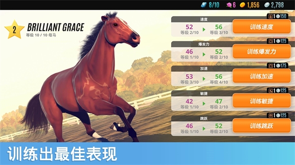 家族传奇马匹养成竞技 v1.65.1 最新版 3