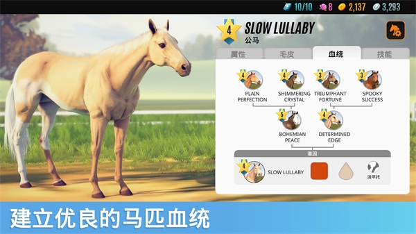 家族传奇马匹养成竞技 v1.65.1 最新版 4