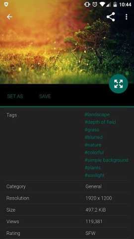 wallhaven 7.7.7 安卓版 1