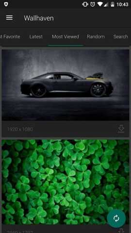 wallhaven 7.7.7 安卓版 3