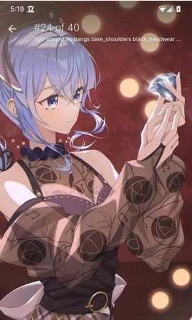 Boorusphere壁纸 v1.4.5 最新版 1