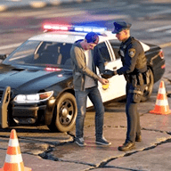 美国警车追逐驾驶