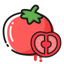 番茄轻断食 v3.4.6 安卓版