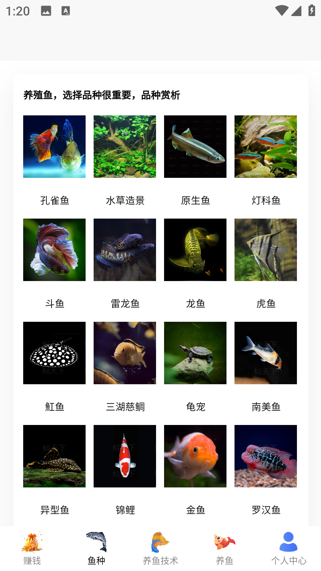 兼职养鱼赚钱 1.0.9 安卓版 3