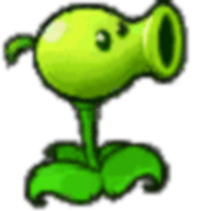 植物大战僵尸捣蛋猪版