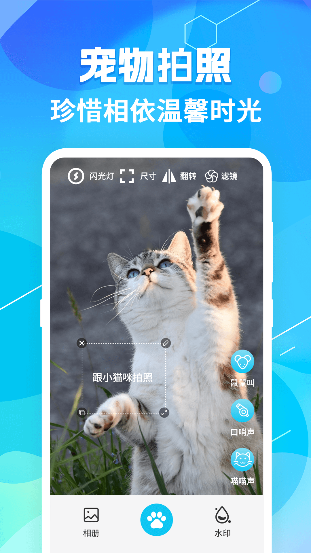 猫语翻译pet 7.1.7129 安卓版 2