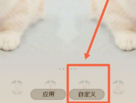 img202203191751360_info441X335.png
