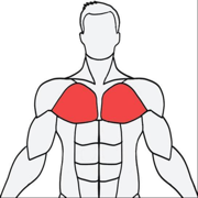 MuscleWiki