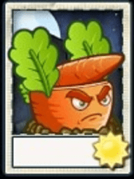 2025022412025360063.png