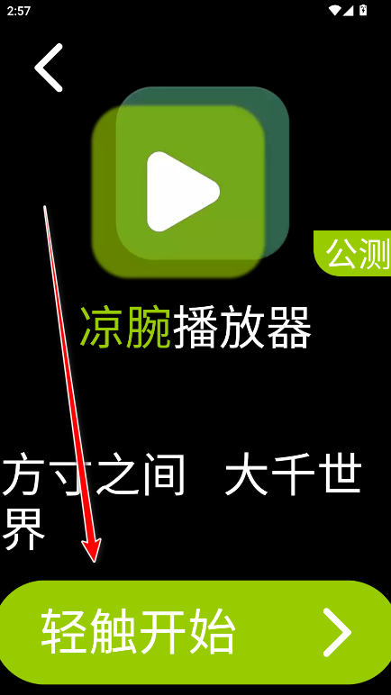 凉腕播放器手表版