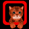 小猫模拟器 1.1 安卓版
