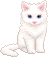 粉白社 1.0.2 安卓版