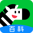 斑马百科电视版 v1.0.1 最新版