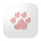 猫爪论坛 7.31 官方版