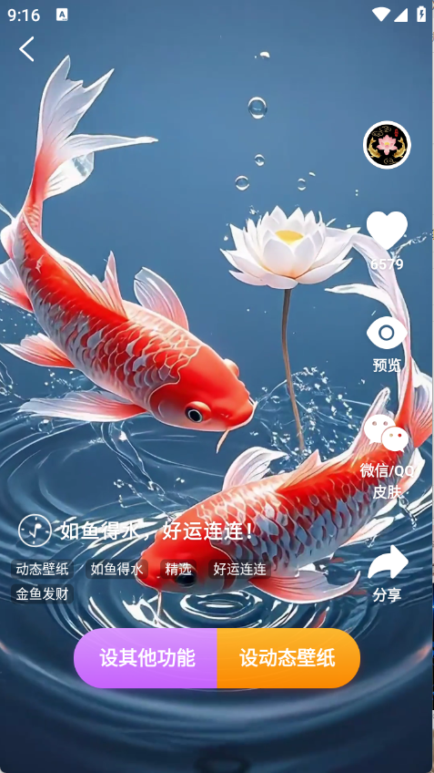 荷花锦鲤壁纸 1.0.13 免费版 1