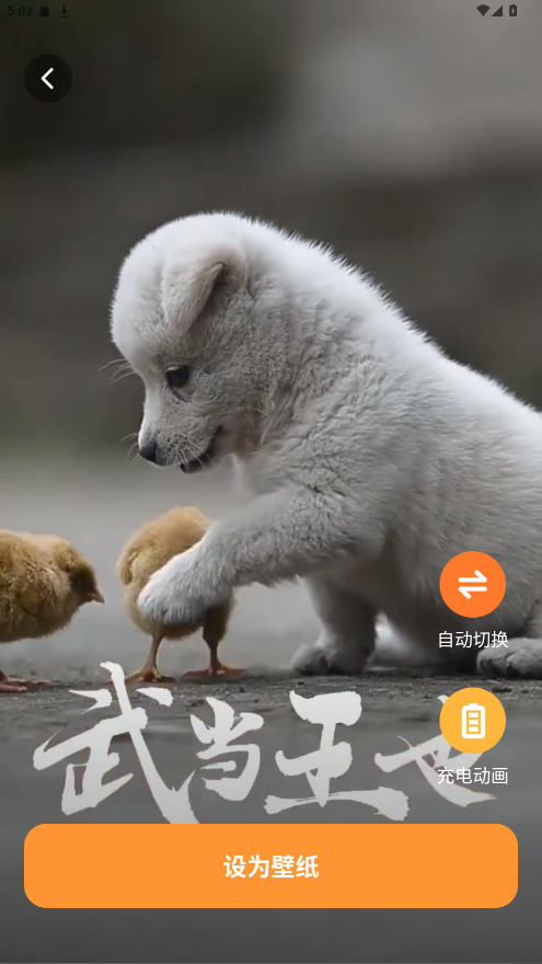 西西壁纸 1.6.0 最新版 2