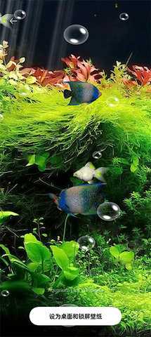 水族馆动态壁纸 v5.3 手机版 2