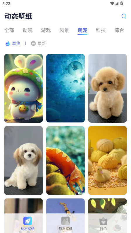 哇叽壁纸 1.0.0 手机版 3