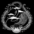 天鹅影视 1.0.2 最新版