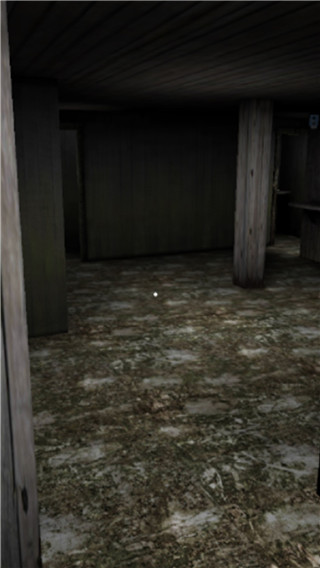 恐怖老奶奶8 v1.01 最新版 3