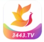 影视工厂TV版