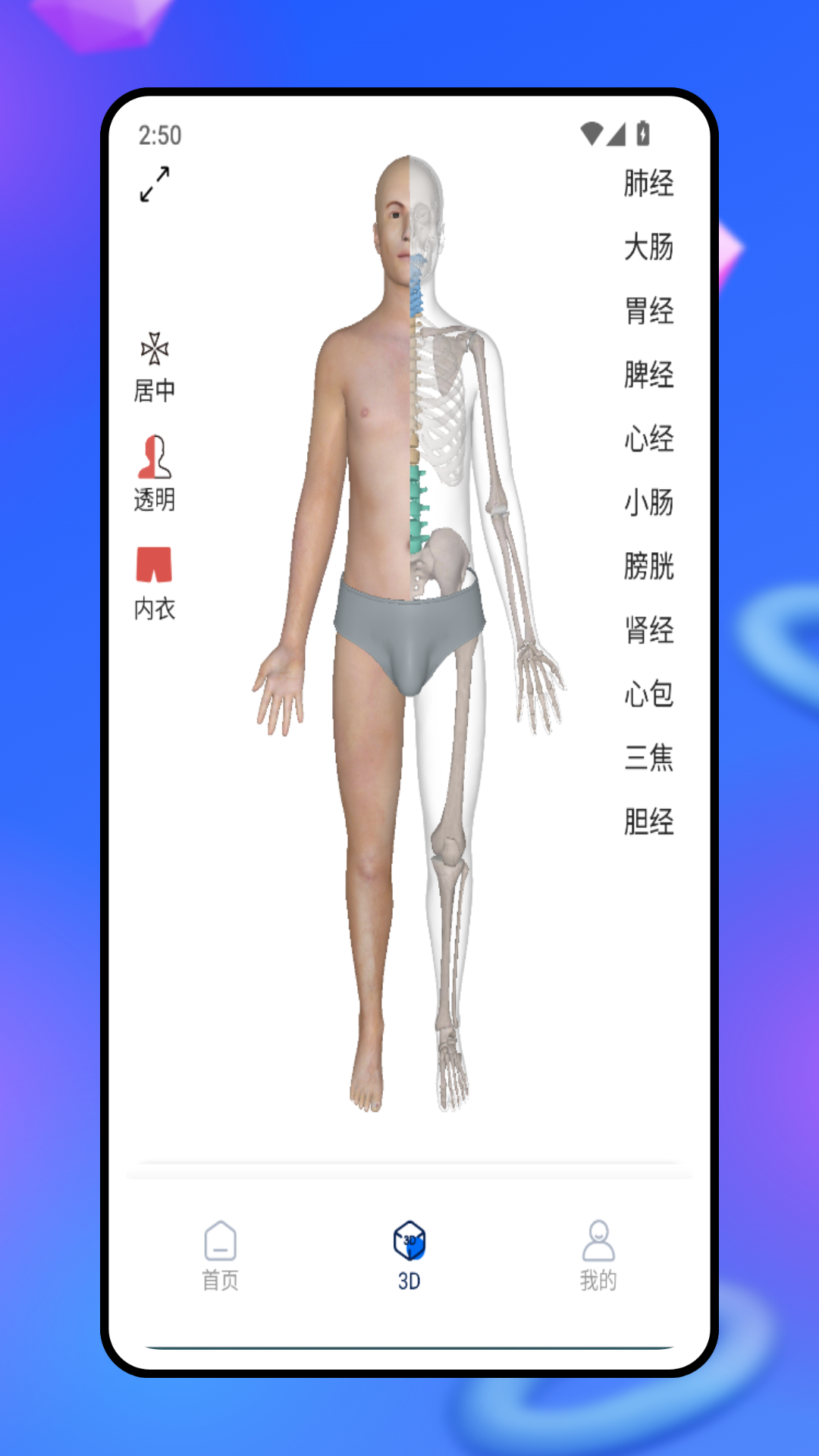3d人体模型 1.0.0 安卓版 1