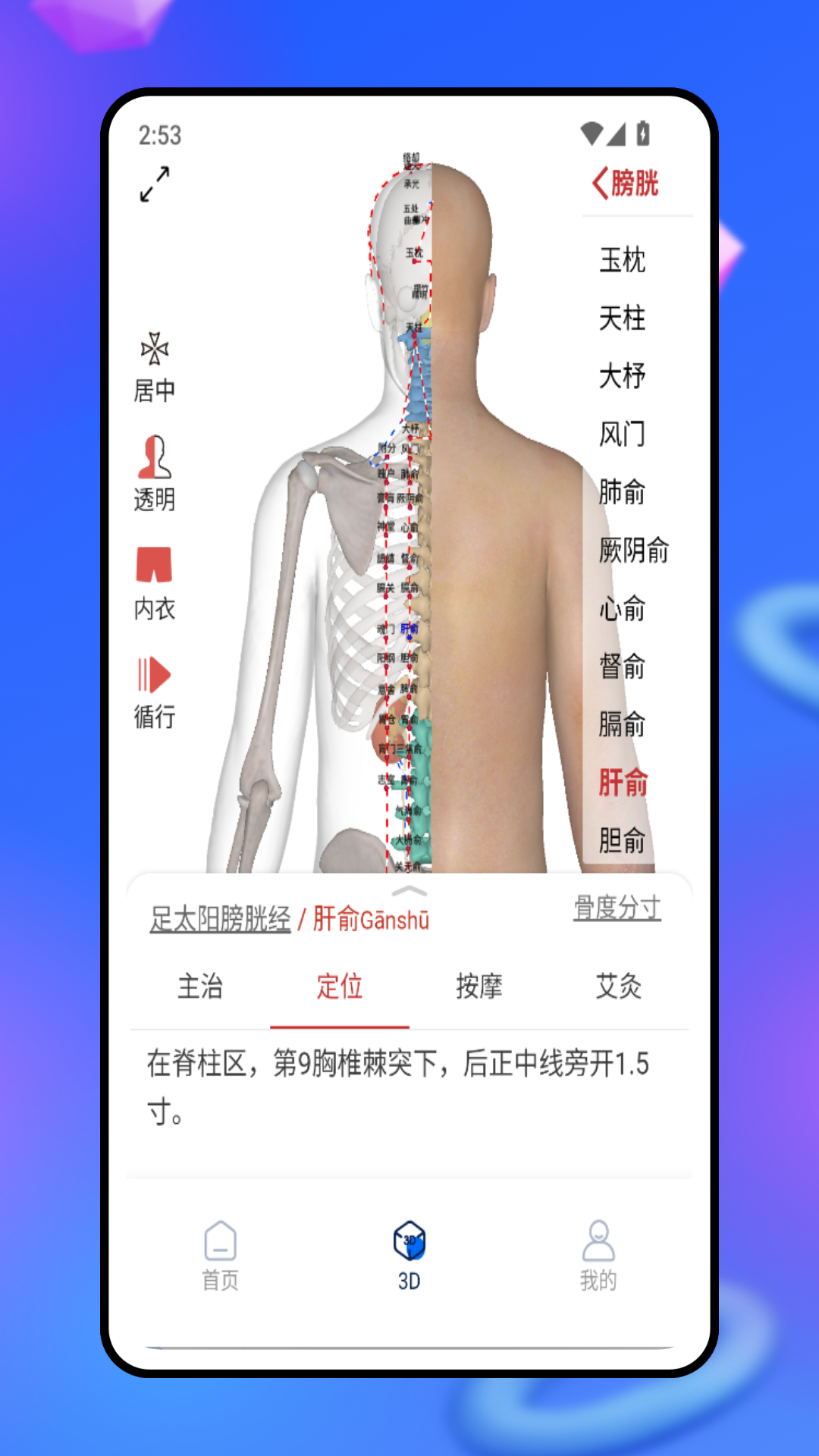 3d人体模型 1.0.0 安卓版 2