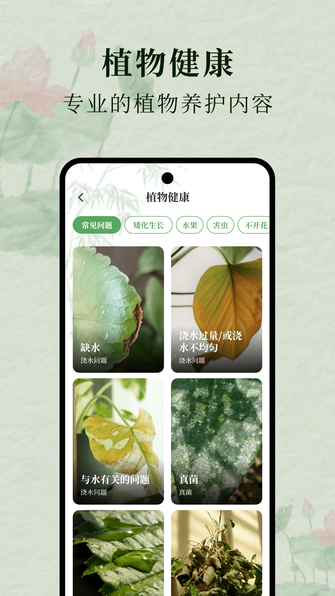 花间集 1.0.0 安卓版 2