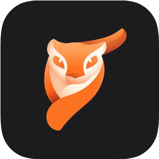 pixaloop 3.0 安卓版